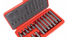 Trusa profesionala de scule 15 piese Biti Torx H10