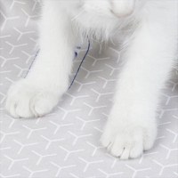 Covoras impermeabil PETKIT Purobot Ultra Cat Litter Mat compatibil cu Litiera Smart Purobot Ultra - 4