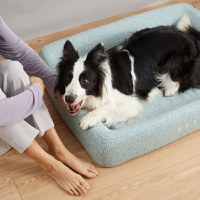 Pat pentru animale de companie PETKIT Four Season Sleep Bed, marimea L - 7