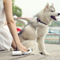 Suport pungi igienice biodegradabile pentru caini, PETKIT Dog Waste Bag, Alb - 6