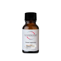 Esenta parfum ambiental, Good Scent, aroma Frozen Cappuccino, 10 g - 1