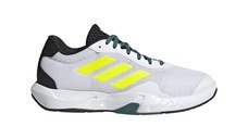 Amplimove Trainer