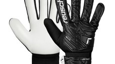 Attrakt Starter Solid