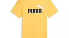 ESS 2 Color No.1 Logo