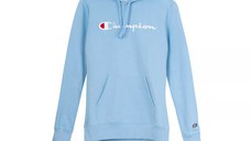 Icons Hooded Sweatshirt Large Logo
