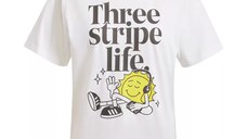 W Positive T