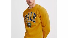 Yale