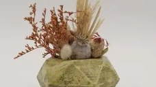 Ghiveci decorativ cu flori artificiale, homs seria A620,17x5.5x9 cm,30345