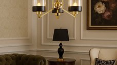 Lustra auriu-negru, homs ro,40034