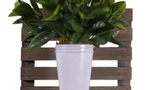 Raft de perete lemn,seria wood Homs 30 x 23 x 30 cm,700001