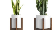 Resigilat:Set sport pentru flori,seria wood, Bahce Homs, lemn,700047