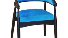 Scaun living tapitat,fag,Seria Special AST-650,Homs,60010