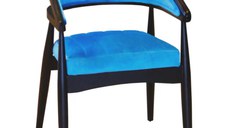 Scaun living tapitat,fag,Seria Special AST-650,Homs,60010