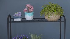 Stand pentru flori cu 2 etajere metal Cici Homs 74 x 70 cm, Negru