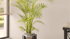 Suport ghiveci Anca, din metal, culoare negru