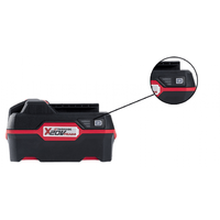 Acumulator Li-Ion 20 V PAP 20 „X 20 V Team" 4Ah - 3