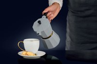 Espressor aragaz, 6 cesti, 300ml, gri, AMBITION Royal - 3