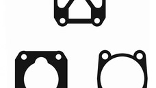 Garnituri set pentru cap compresor de aer 47mm CH088 Mod.11(B)