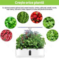 Ghiveci hidroponic cu lampa UV de crestere a plantelor la interior, 12 orificii plante, inaltime reglabila, 36W - 2