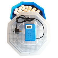 Incubator electric pentru oua, Cleo 5TH, termometru si termohigrometru, galben - 2