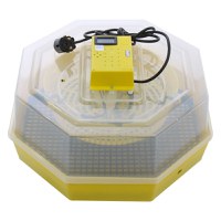 Incubator electric pentru oua, Cleo 5TH, termometru si termohigrometru, galben - 1