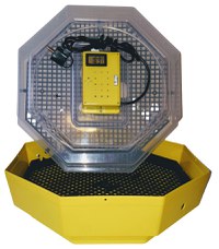 Incubator electric pentru oua, Cleo 5TH, termometru si termohigrometru, galben - 3