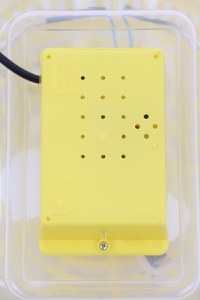 Incubator electric pentru oua, Cleo, model 5 - 2