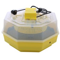 Incubator electric pentru oua, Cleo, model 5 - 1