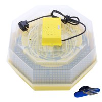 Incubator electric pentru oua, Cleo, model 5 - 3