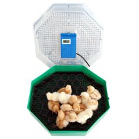 Incubator electric pentru oua cu dispozitiv de intoarcere, termometru si termohigrometru, Cleo, model 5DTH - 2