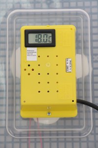 Incubator electric pentru oua cu dispozitiv dublu de intoarceresi termometru, Cleo, model 5X2-DT - 6