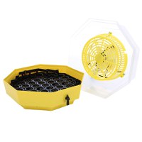 Incubator electric pentru oua cu dispozitiv intoarcere, Cleo, model 5D - 3