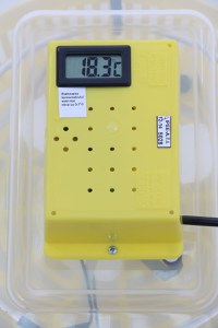 Incubator electric pentru oua cu termometru, Cleo, model 5T - 2