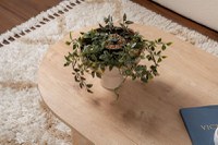 Masuta de cafea, Hanah Home, pal melaminat, stejar safir, 119x60x40 cm - 6