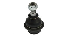 Pivot Ford TRANSIT platou sasiu FORTUNE LINE FZ3134