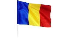 Set 100 Steaguri tricolore 30x45 cm, Romania / flag / drapel