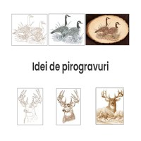 Set 28 piese varfuri si capete de schimb pentru letcon, GlowforHome, pentru gravura si statia de lipit, Auriu/Argintiu - 1