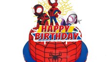 Set 46 Accesorii REDQUIT de Petrecere Spiderman ,  20 Baloane, 1 Banner Happy Birthday, 24 Cupcake Topper, 1 Topper Tort