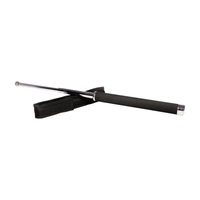 Set baston telescopic 65 cm argintiu + pumnal/box craniu argintiu - 6