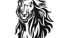 Sticker decorativ, cal cu par valvoi, negru, 57 x 77
