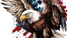 Sticker decorativ, Vultur American, Multicolor, 60 cm, 1270STK-5