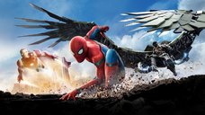 Tablou canvas Spiderman 2