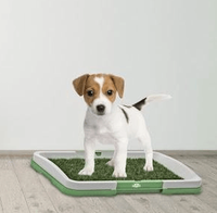 Tavita Toaleta cu iarba artificiala pentru animale Puppy Potty Pad - 2