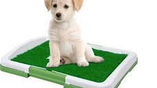 Tavita Toaleta cu iarba artificiala pentru animale Puppy Potty Pad