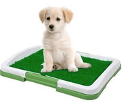 Tavita Toaleta cu iarba artificiala pentru animale Puppy Potty Pad - 1