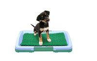 Tavita Toaleta cu iarba artificiala pentru animale Puppy Potty Pad - 7