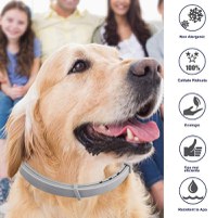 Zgarda Antiparazitara Caini MRG M910 , Pana la 62 cm, din Plante, Anti Purici , Capuse - 5