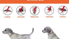 Zgarda Antiparazitara Caini MRG M910 , Pana la 62 cm, din Plante, Anti Purici , Capuse