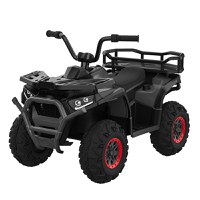 ATV electric pentru copii intre 2 si 5 ani, model Mini Desert, 70W 12V, telecomanda inclusa, bluetooth, negru - 1
