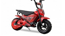 Mini Motocicleta electrica cu roti ajutatore, NITRO ECO Flee 300W 24V, culoare Rosu